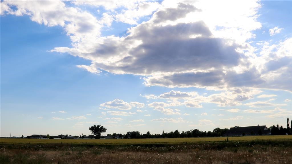 a field of grass under a cloudy sky