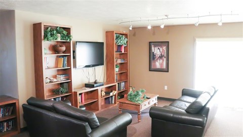 a living room with leather furniture and a television