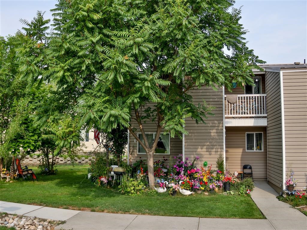 a house with a tree and flowers in the yard