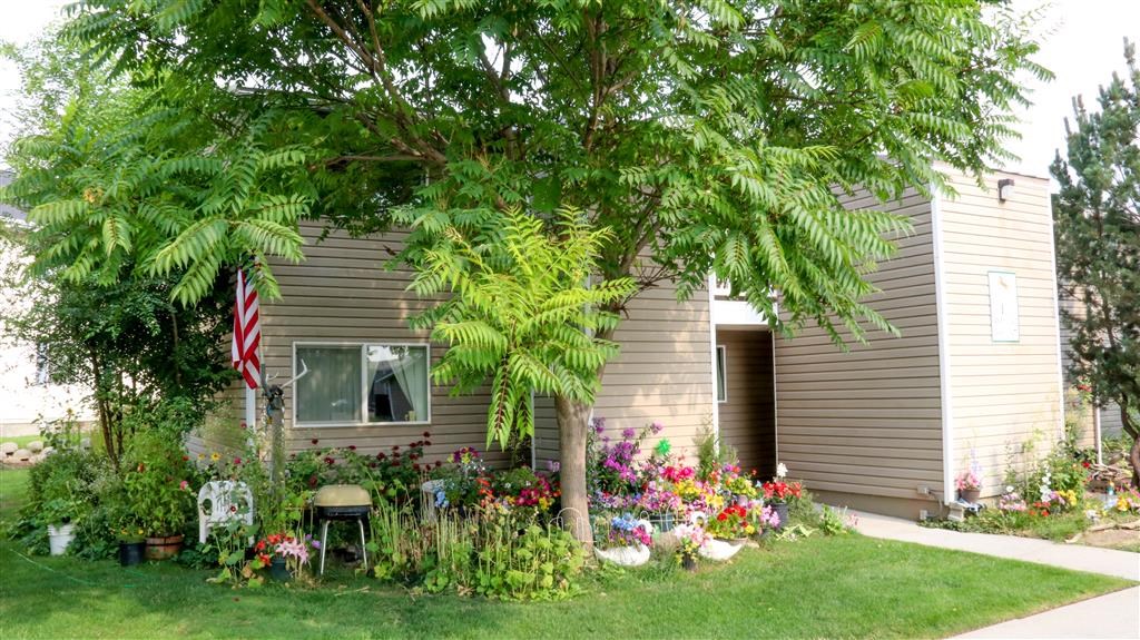 a house with a garden and an flag on the side of it