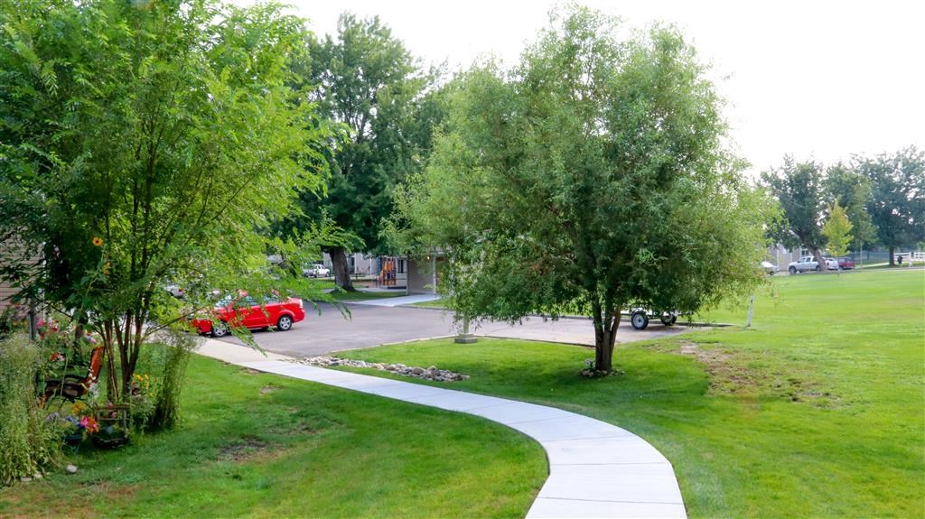 a sidewalk running through a park with trees