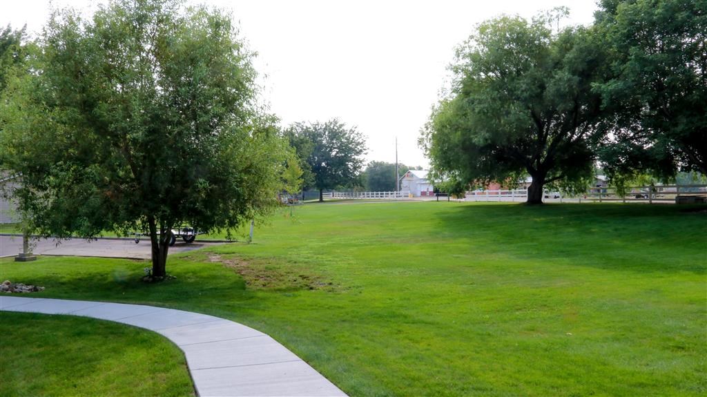 a park with green grass and trees next to a sidewalk