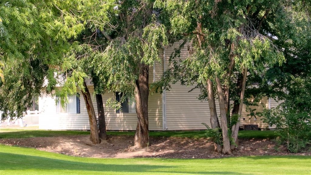 a house with trees in front of it