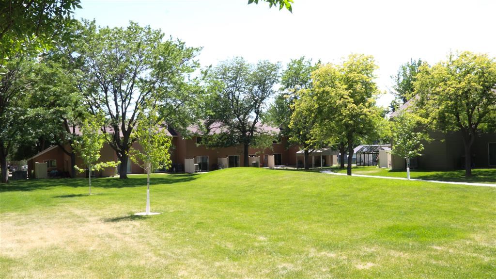 a yard in front of a building with trees