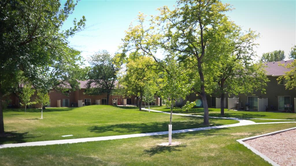 a grassy area with trees in front of a building