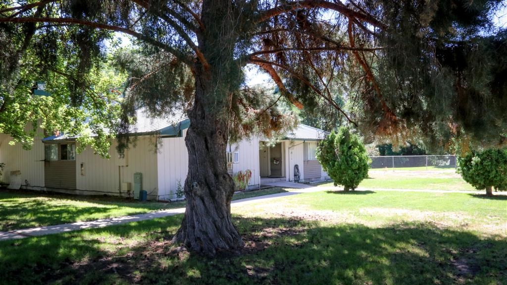 a house with a large tree in front of it
