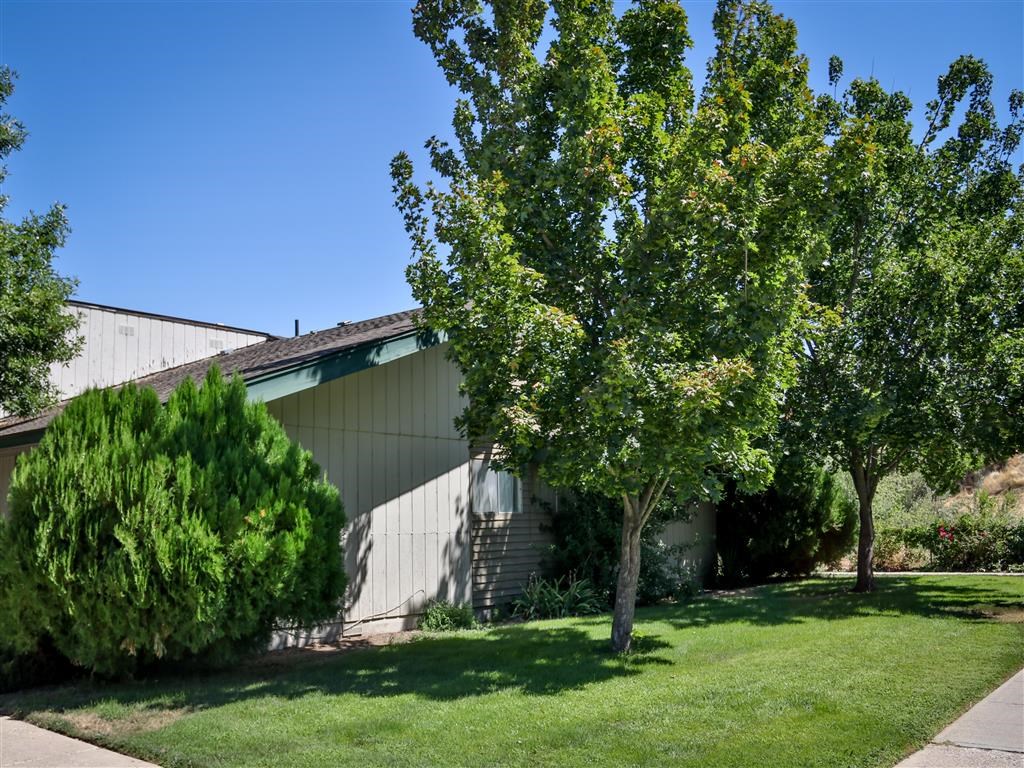 a house with a tree in front of it