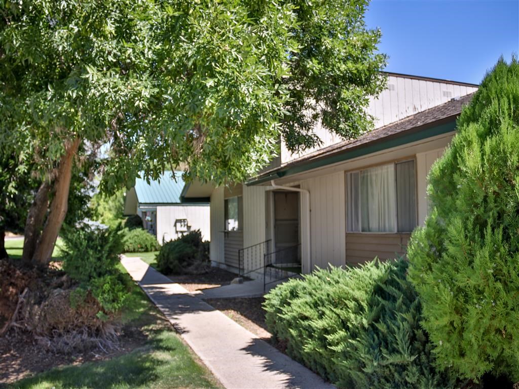 a building with a sidewalk and trees in front of it