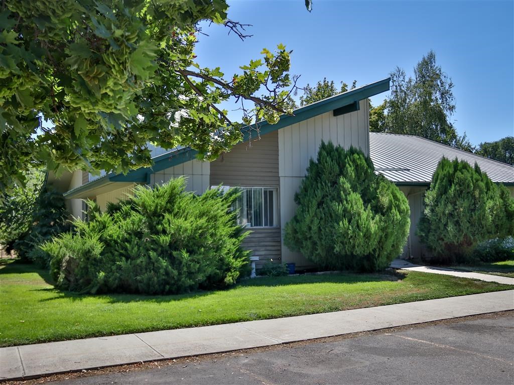 a house with trees and bushes in front of it