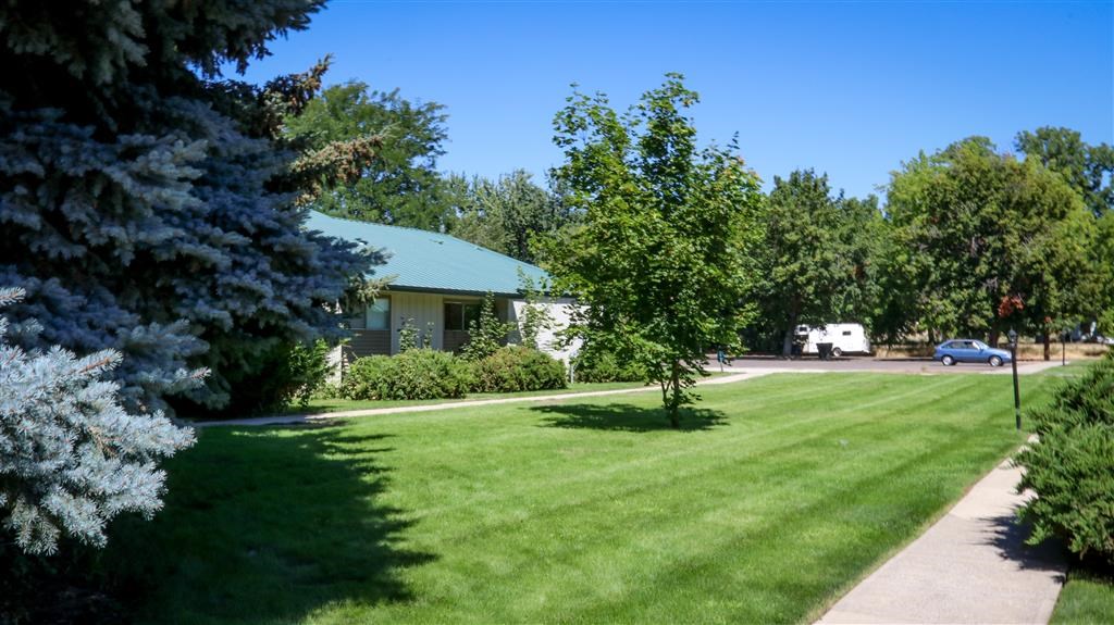 a house with a green lawn and trees