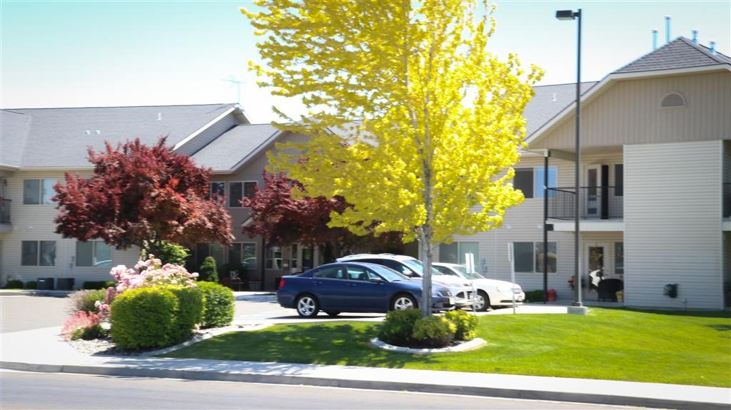 a yard in front of a building with cars parked in the driveway