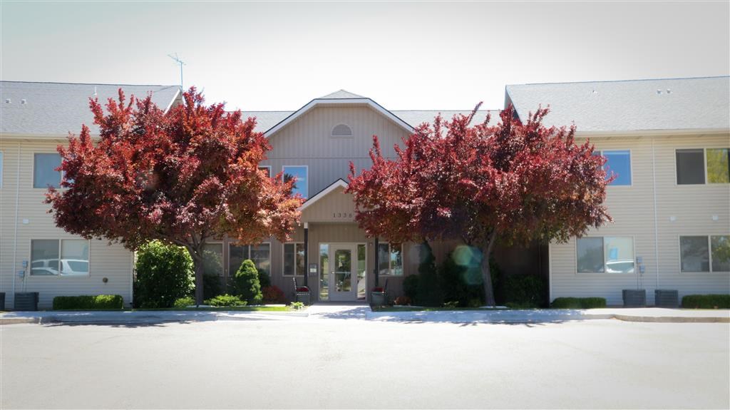 a house with two trees in front of it