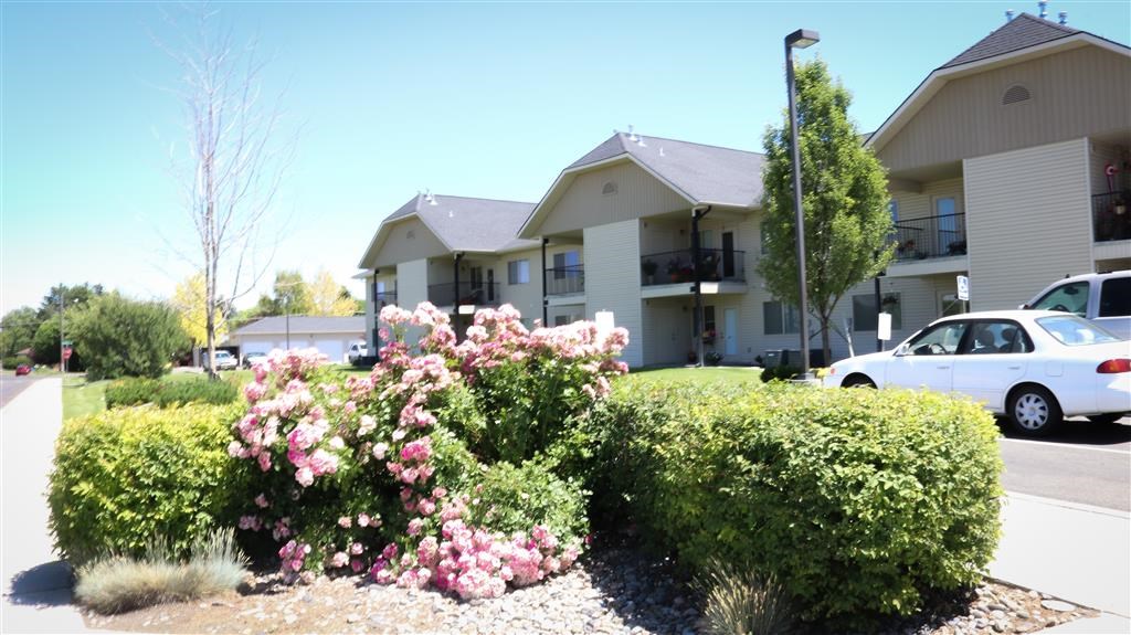 a house with a bunch of flowers in front of it