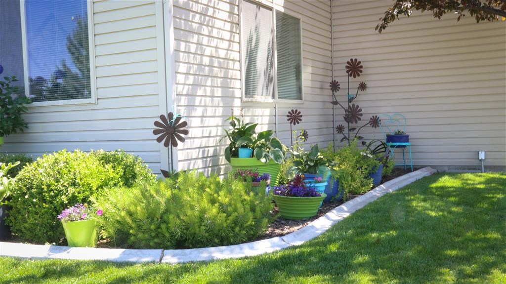 a yard with plants in front of a house