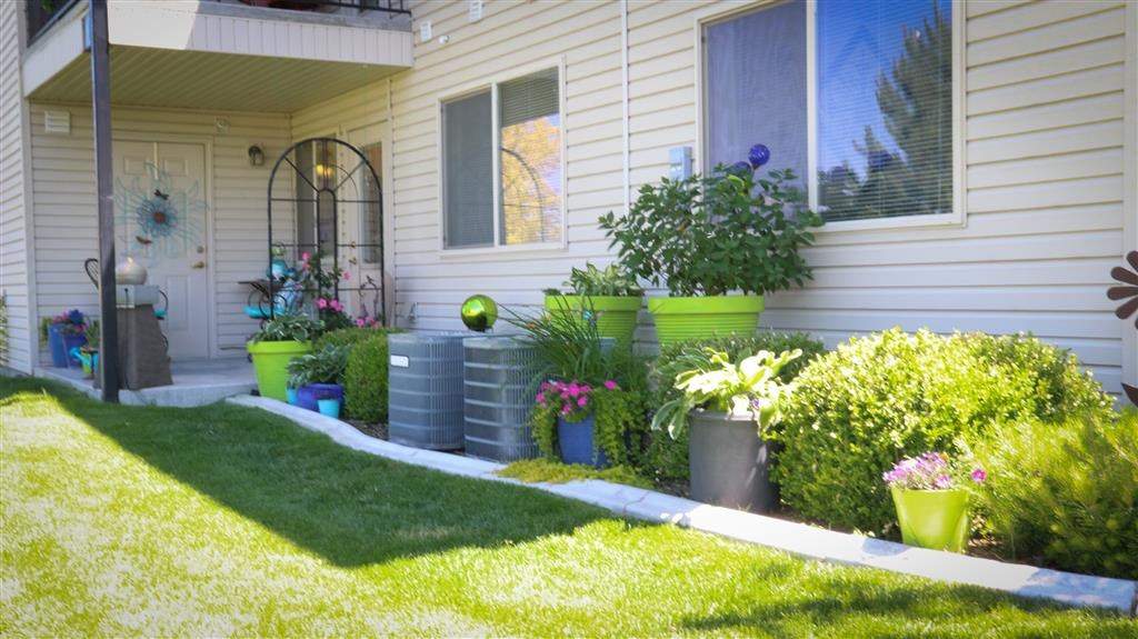 the side of a house with plants and grass