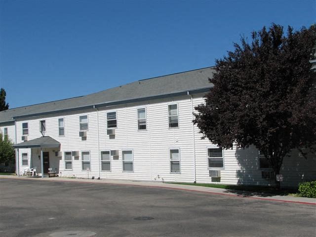 a large white building with a tree in front of it