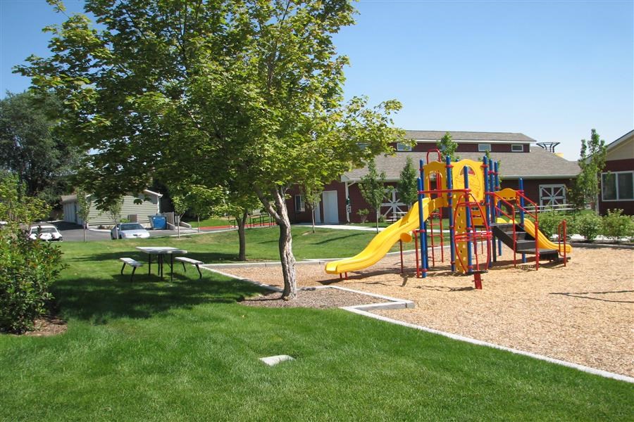 a playground in a yard with a swing set