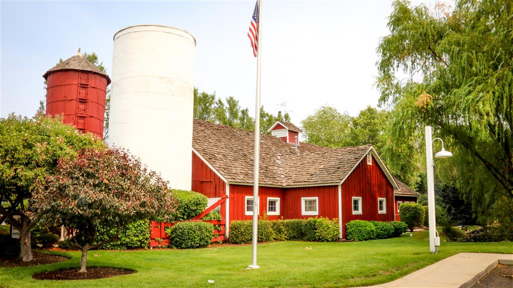 how common is interracial dating