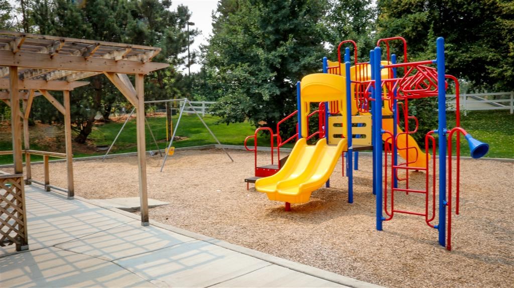 a playground with a yellow and blue slide