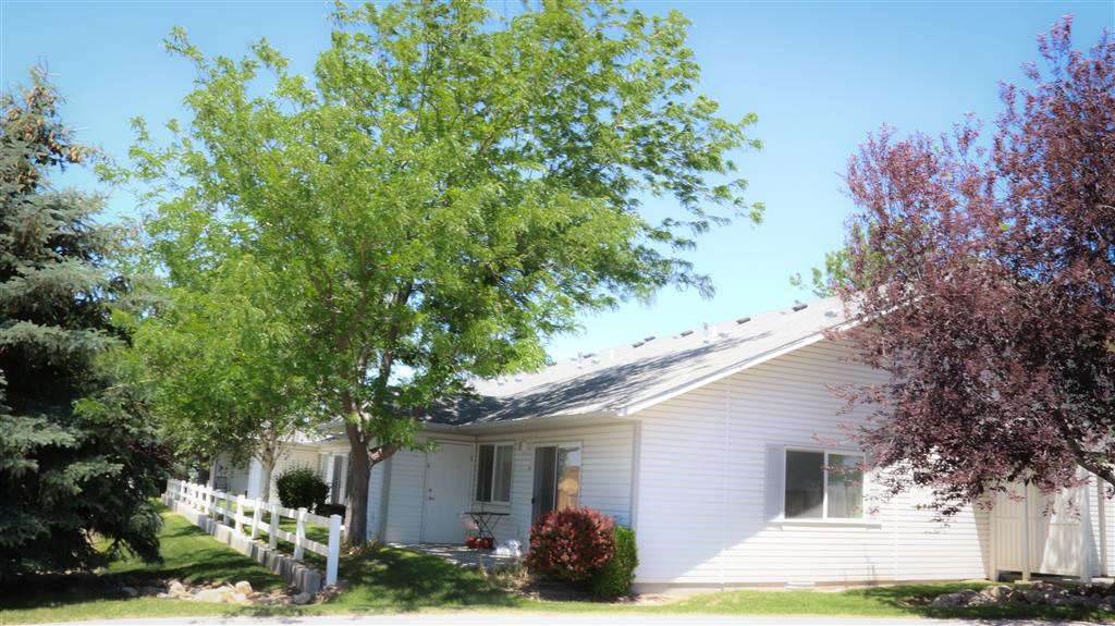 a white house with a white fence and a tree
