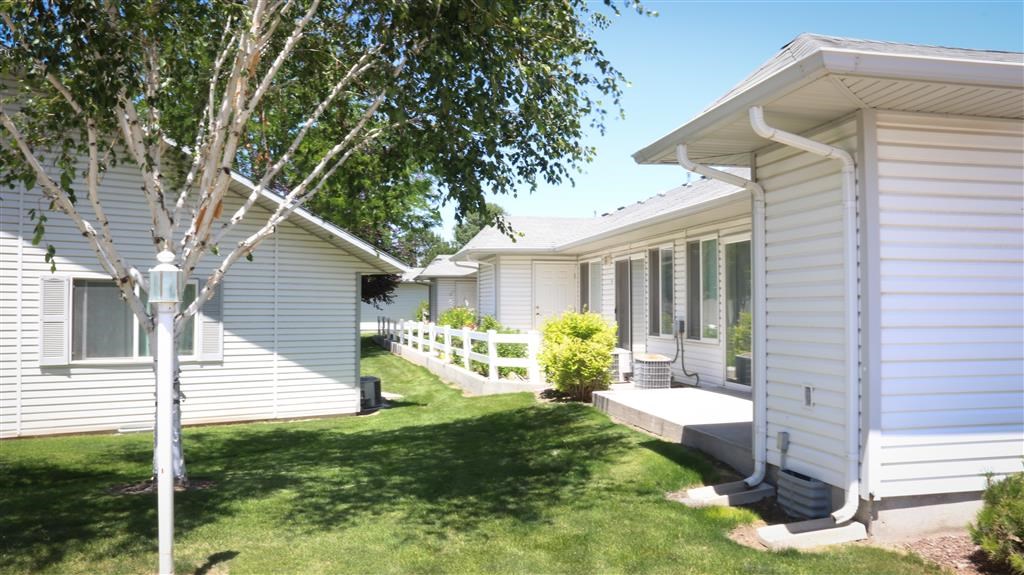 a row of white houses with a yard and a tree