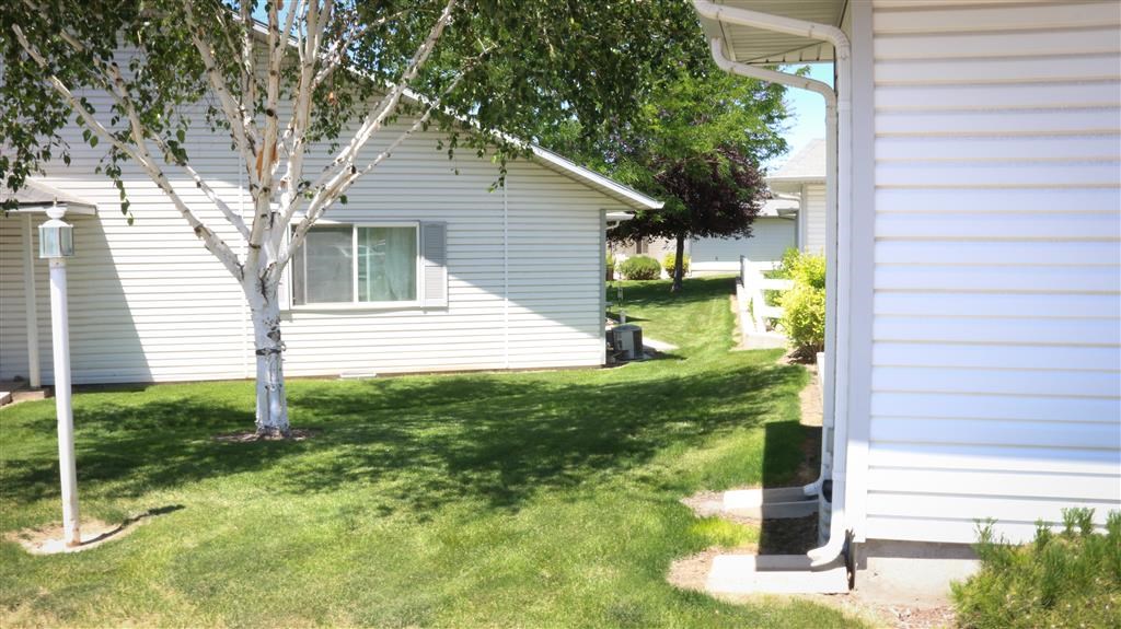 a white house with a tree in the yard