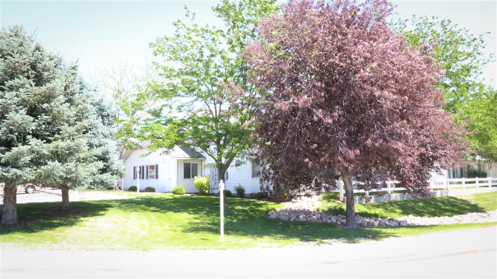 a white house with trees in front of it