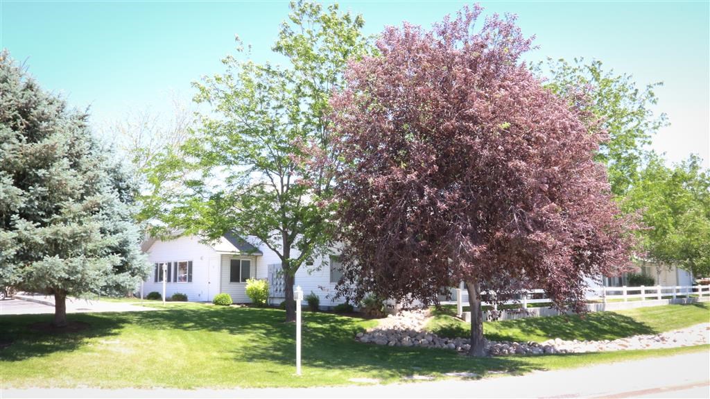 a white house with a tree in front of it