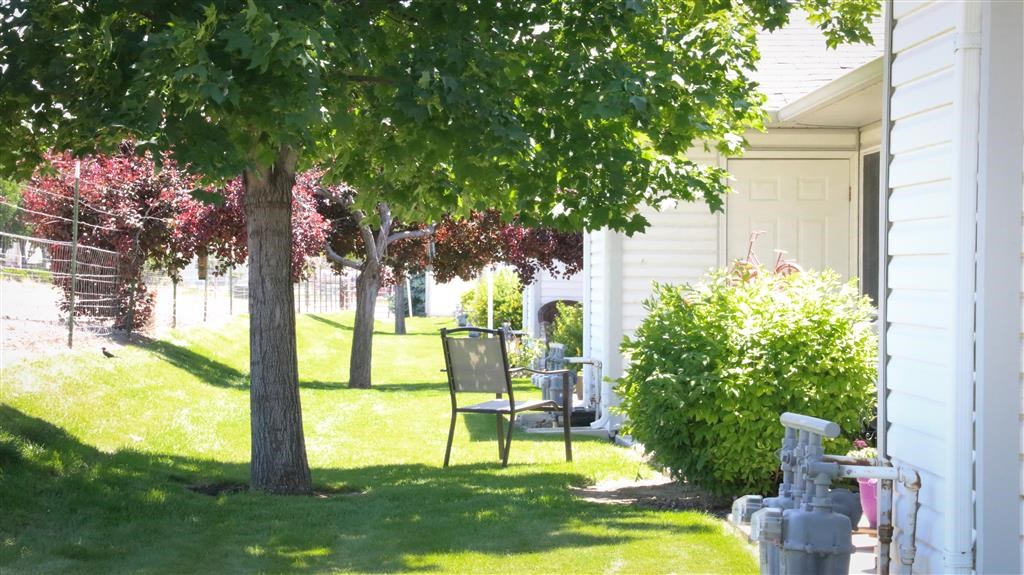a backyard with a tree and a table and chairs