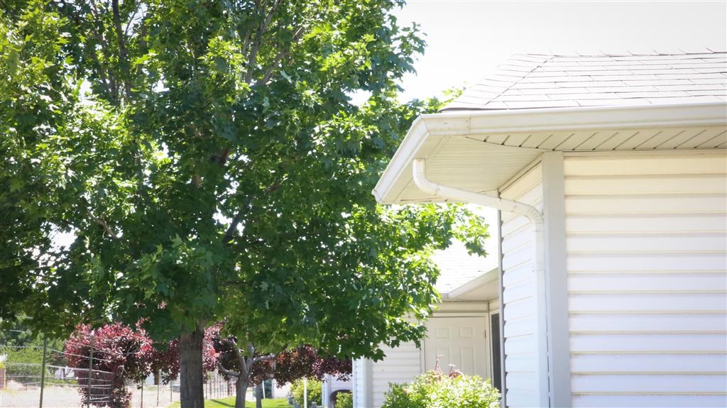 a white house with a tree next to it