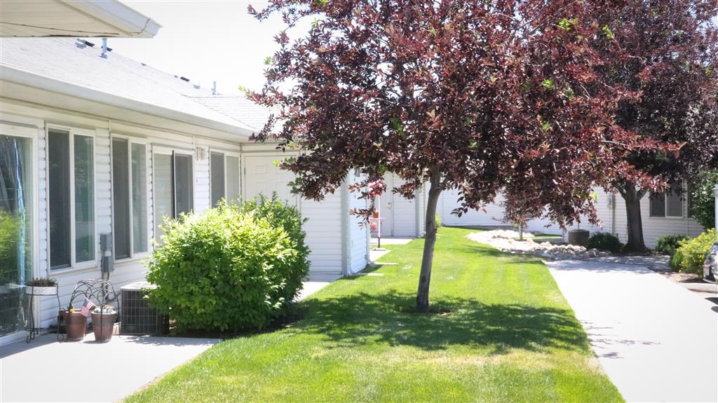 a yard with a tree in front of a house