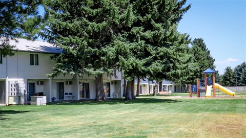 a building with a playground and a tree in front of it