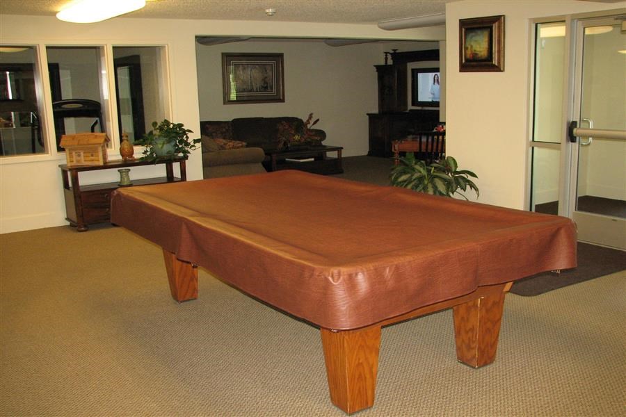 a leather pool table in a living room