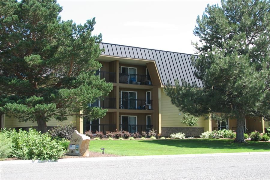 a building with a yard and trees in front of it