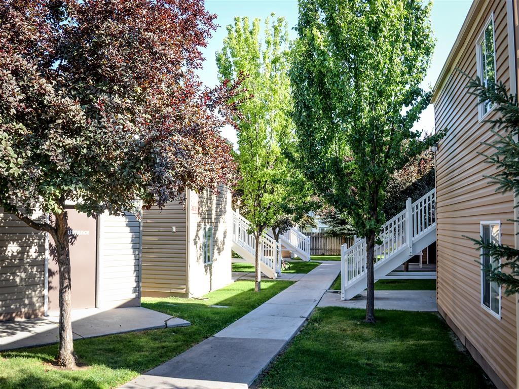 a sidewalk between two houses with trees in the yard