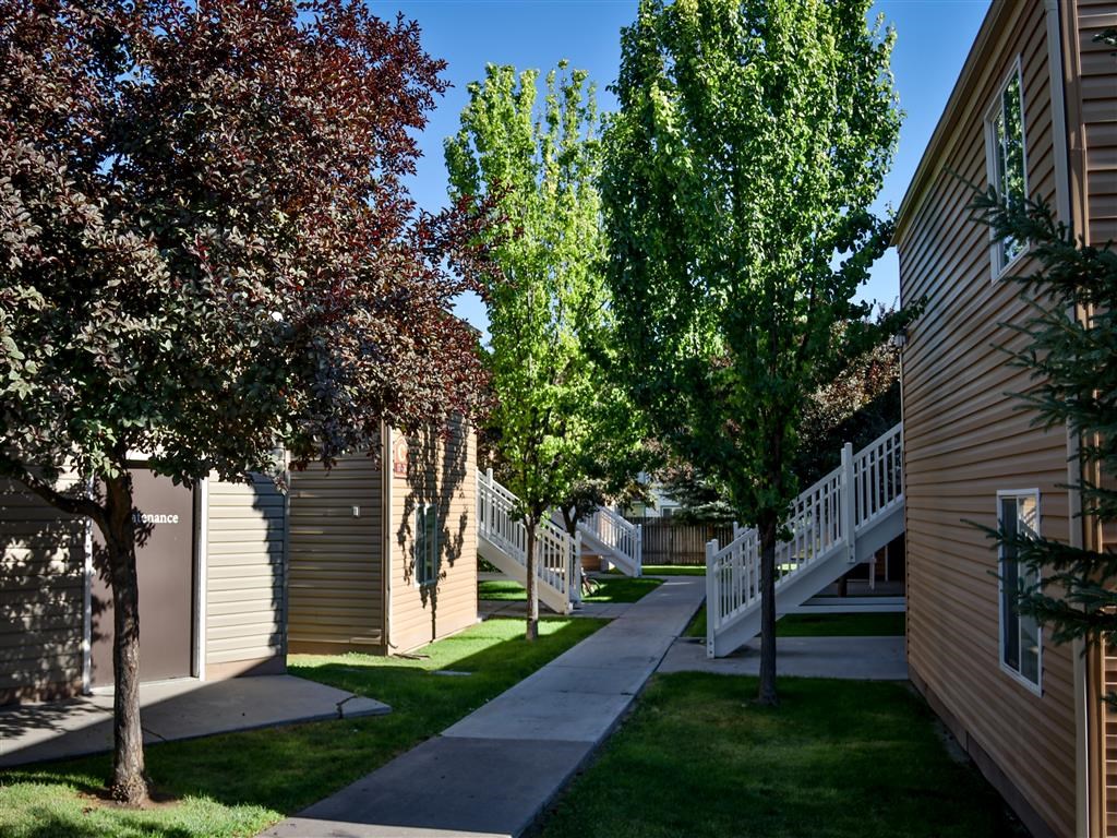 a sidewalk between two buildings with trees in the grass