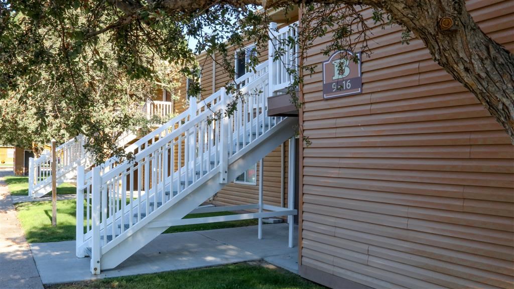 the stairs to the entrance of a building with a tree
