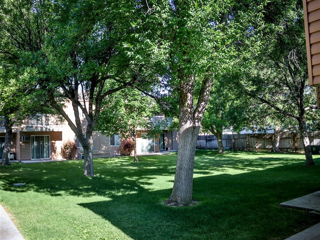 a yard with grass and trees in front of a building