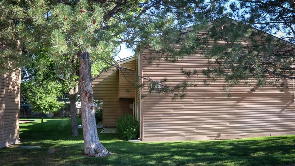 a wooden building with a tree in front of it