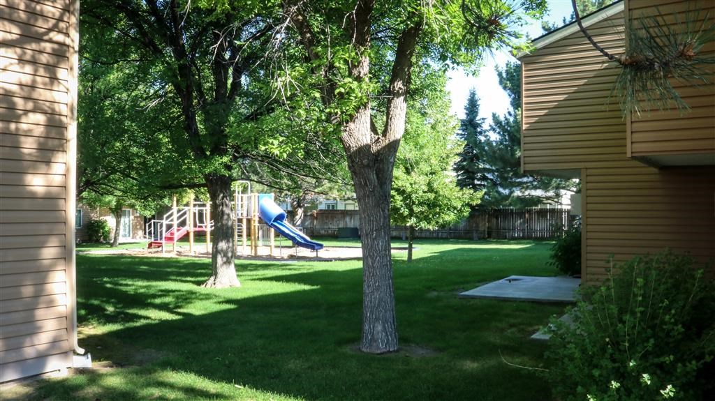 a backyard with a playground and trees