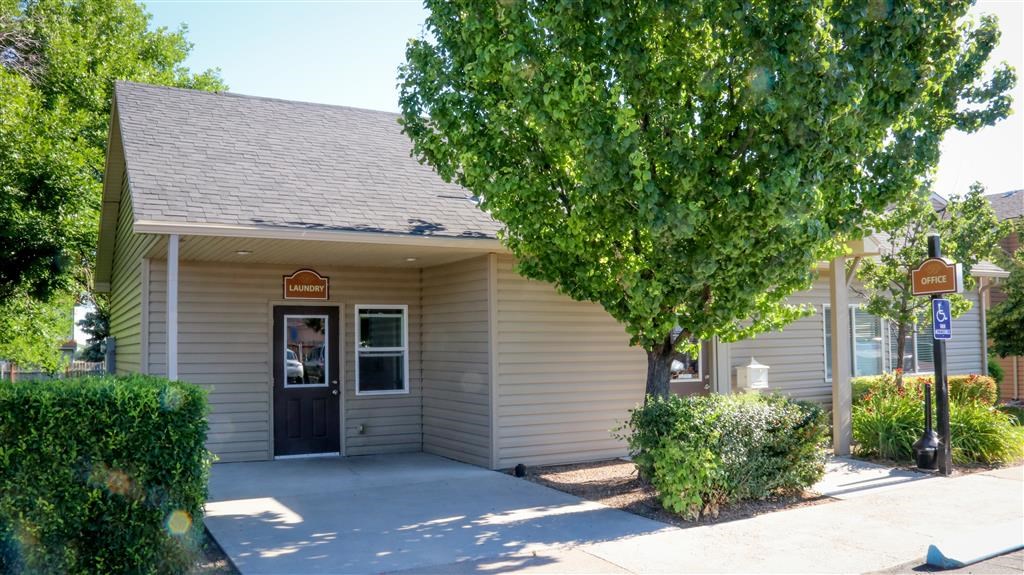 a white building with a door and a tree in front of it