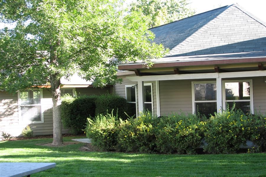 a white house with a tree in the yard