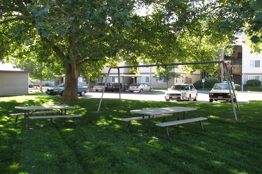 two picnic tables in a park under a tree