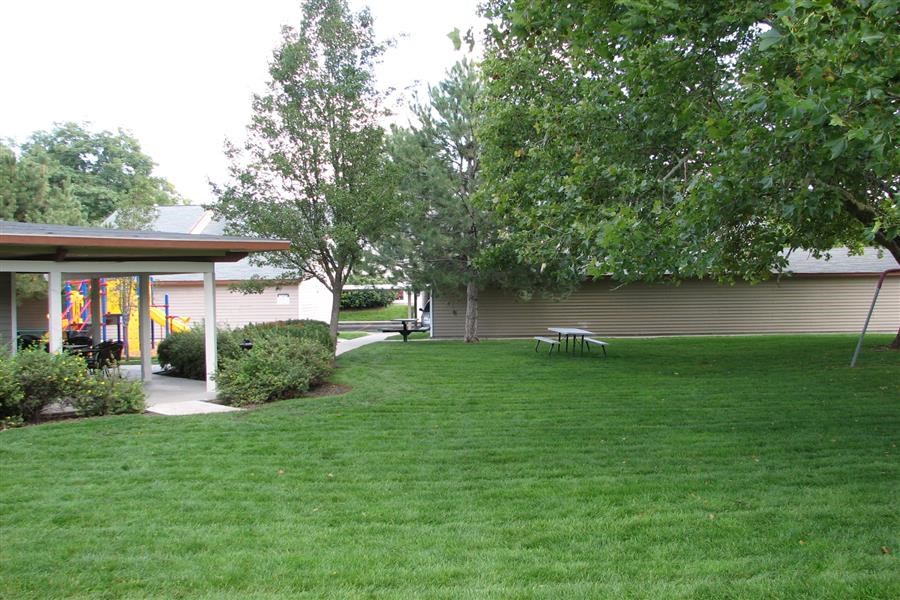 a backyard with a green lawn and a house