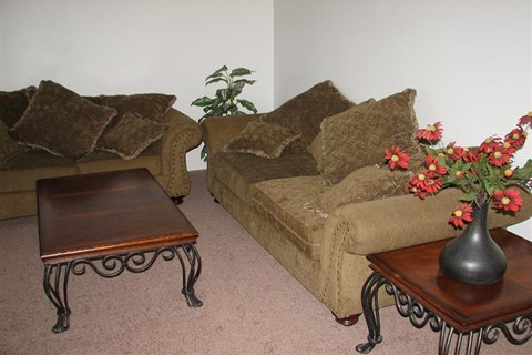 a living room with couches and a table and flowers