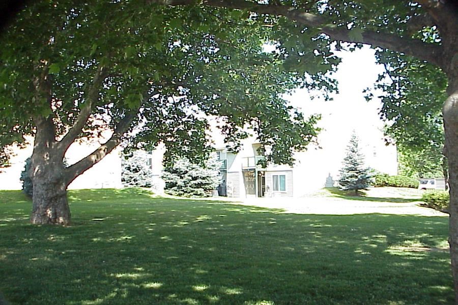 a large tree in the grass in front of a house