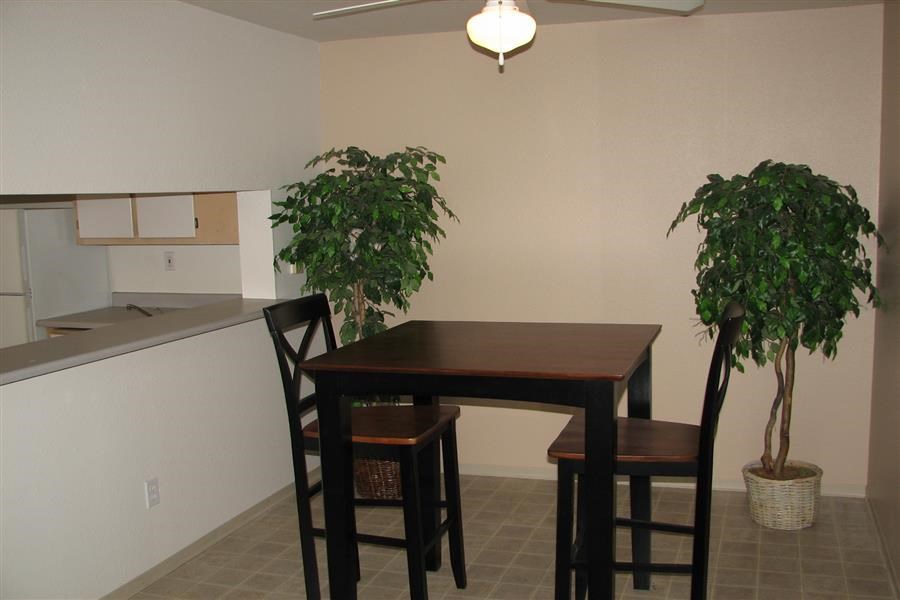 a dining room table with chairs and a plant