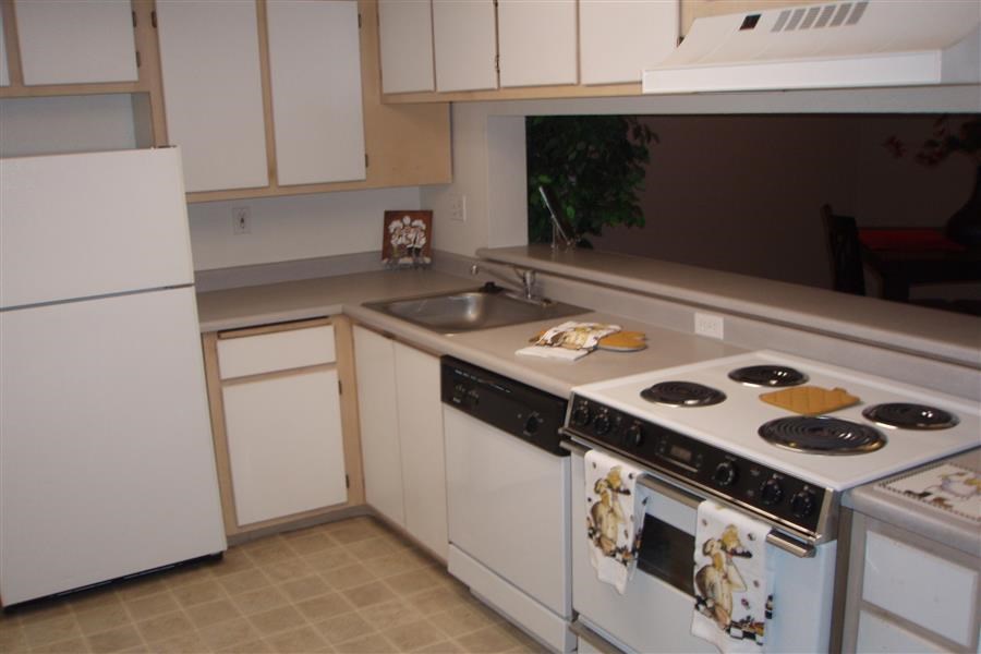 a white kitchen with a stove and a sink