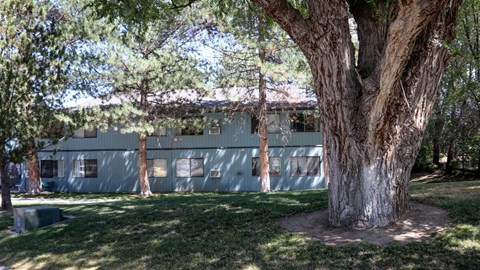 a green building with trees in front of it