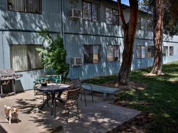 655 Alameda Dr 1 Bed Apartment for Rent - Photo Gallery 5